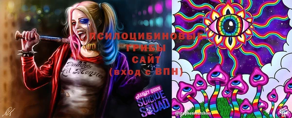 марки lsd Алексеевка